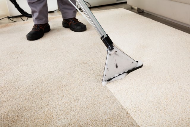 carpet-cleaning-service