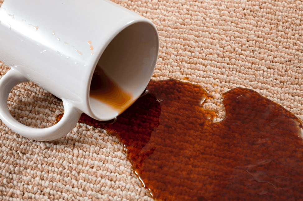 How to Get Rid of a Coffee Stain on Your Carpet; Tips from a Hoffman