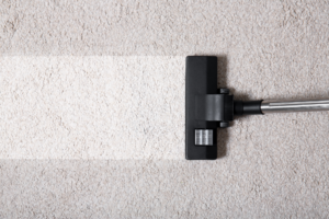 carpet-cleaning-company-elmhurst