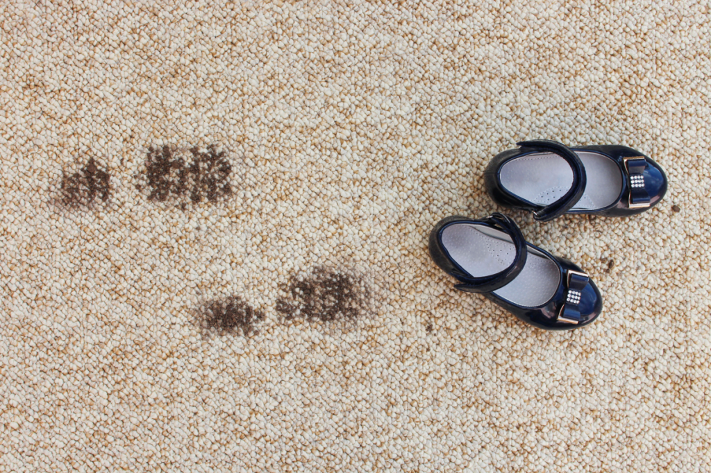 Topranked Glenview Area Carpet and Rug Cleaning Service & Company