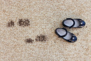 Muddy carpets at a house in Glenview, Illinois