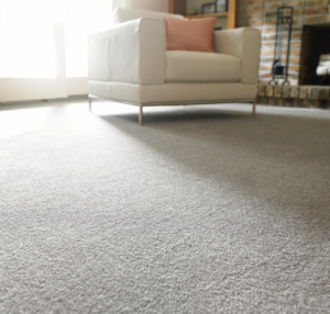 Professional carpet cleaning at a house in Naperville, Illinois