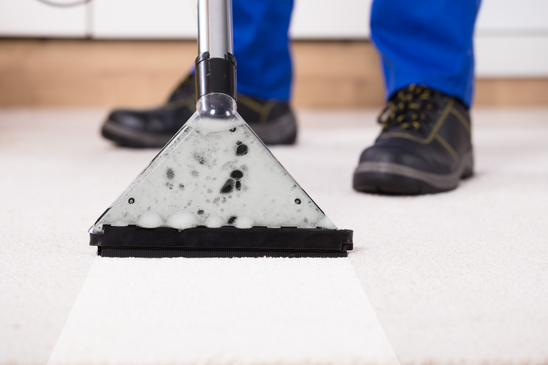 Professional eco-friendly carpet cleaning service in Clarendon Hills, Illinois