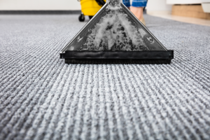 Professional carpet cleaning company in Elk Grove Village, Illinois