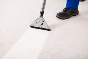 Professional carpet cleaning in Oak Lawn, Illinois