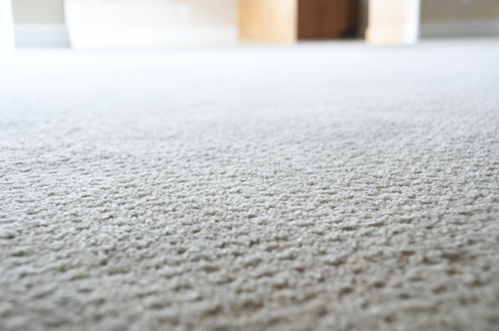 Topranked Elmhurst Area Carpet and Rug Cleaning Company Top Notch