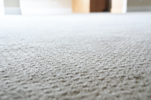 Professional carpet cleaning at a house in Elmhurst, Illinois