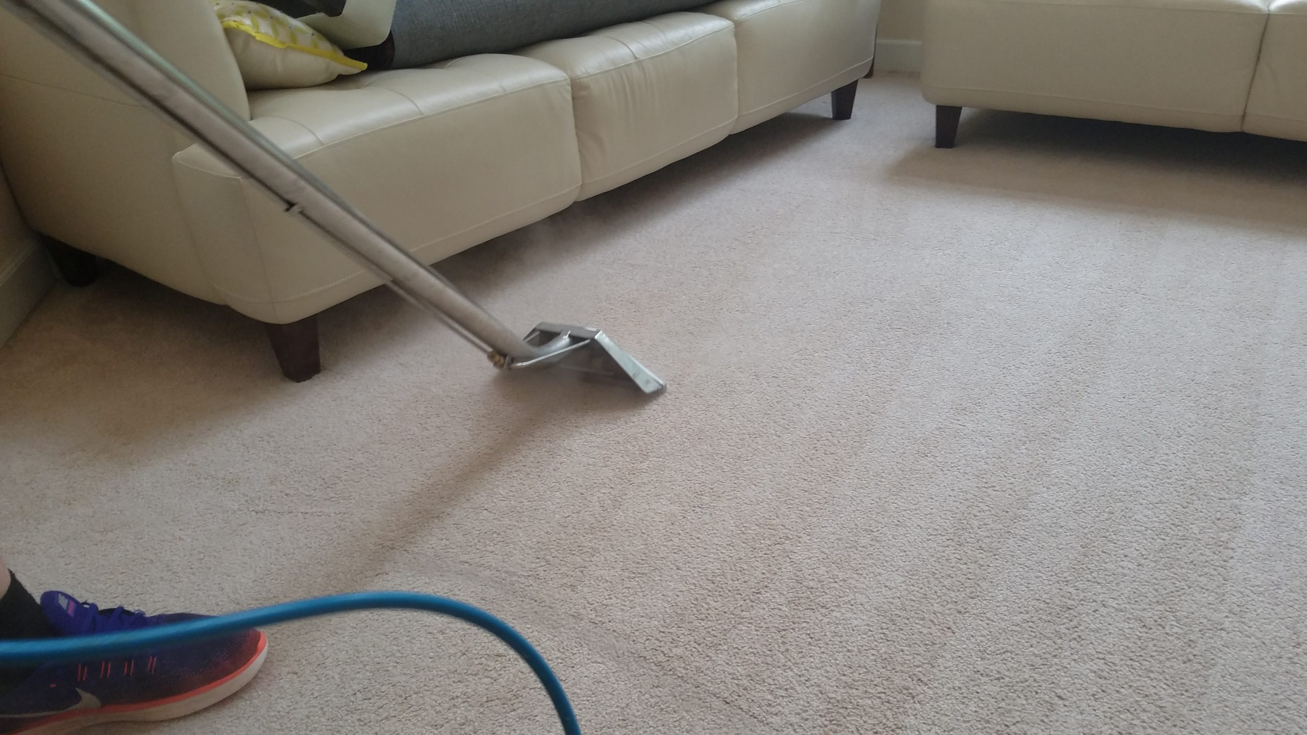 carpet-cleaning-service-elk-grove-village