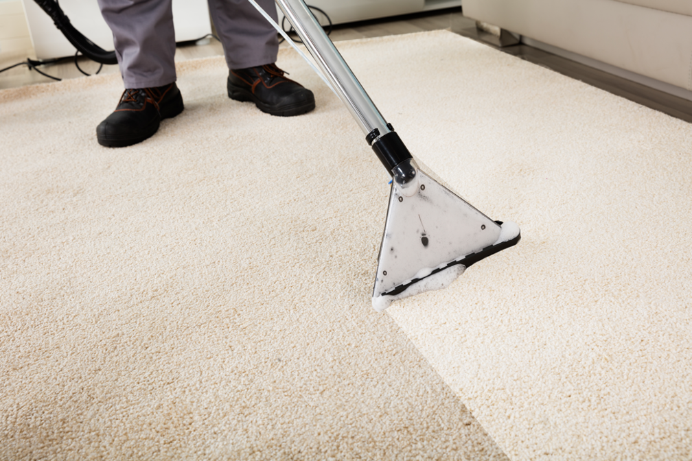 Carpet cleaning company in Glen Ellyn Illinois