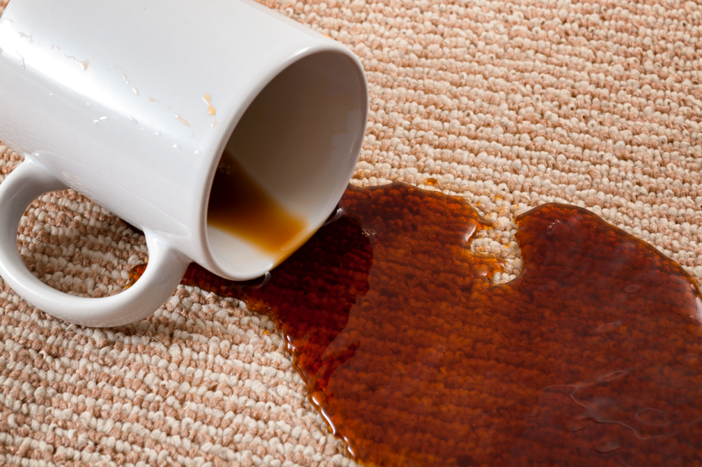 Carpet cleaning company in Bloomingdale Illinois