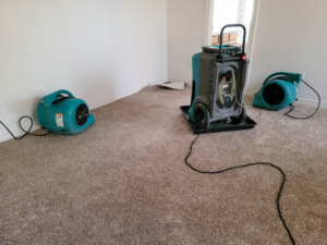 Mold remediation company in Hinsdale Illinois